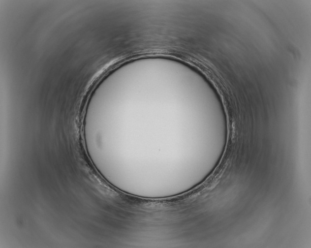 X0000112921212200908241023