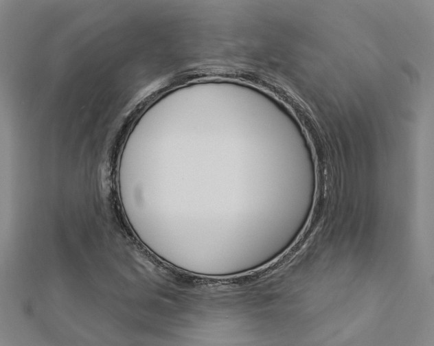 X0000112921213200908241023