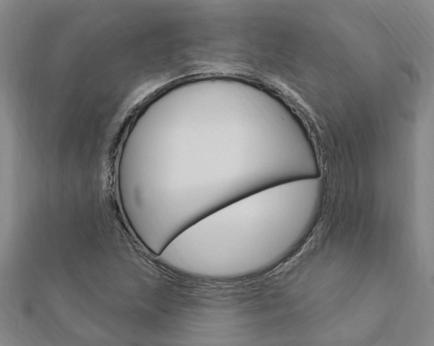 X0000112921215200908241023