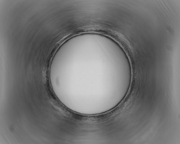 X0000112921217200908241023