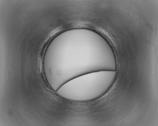 X0000112921219200908241023