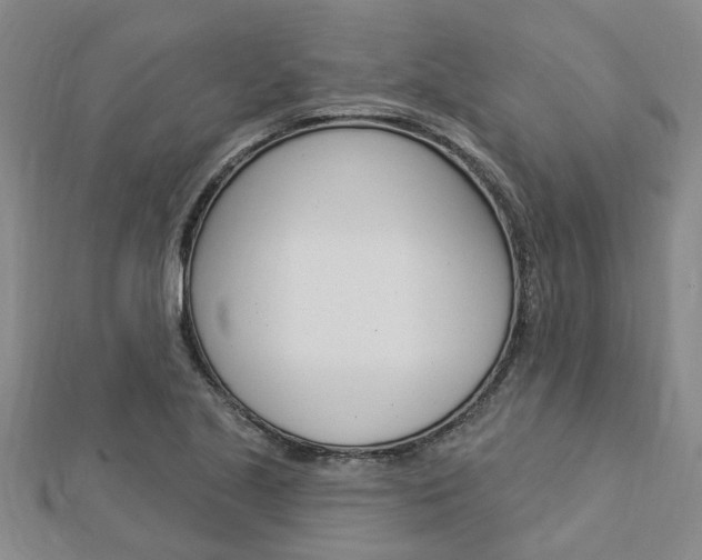 X0000112921221200908241024