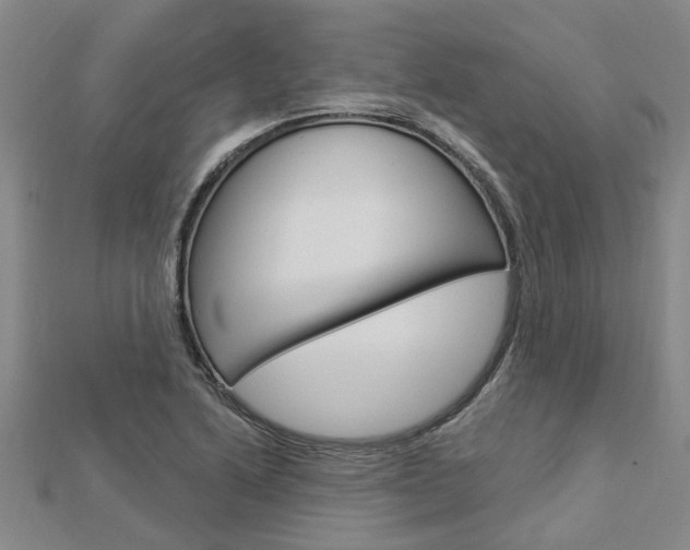X0000112921222200908241024