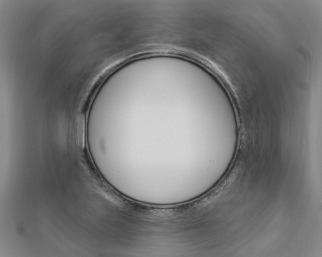 X0000112921223200908241024
