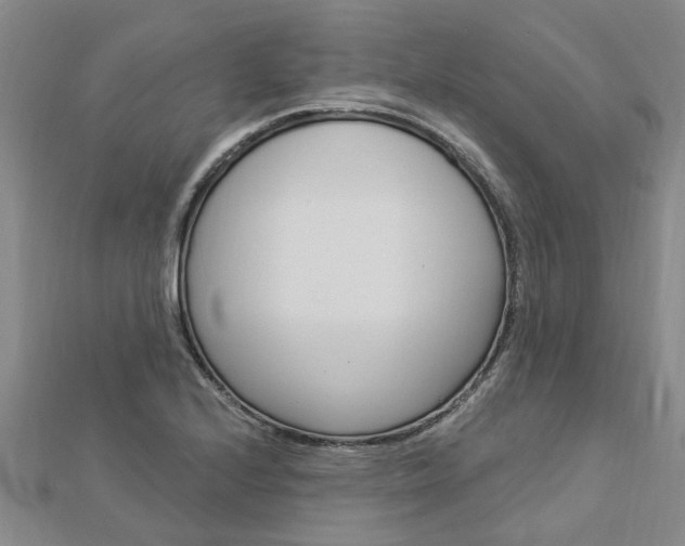 X0000112921224200908241024