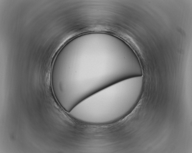X0000112921228200908241024