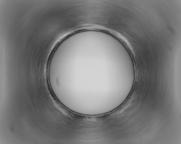 X0000112921231200908241024