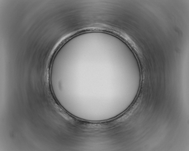 X0000112921232200908241024