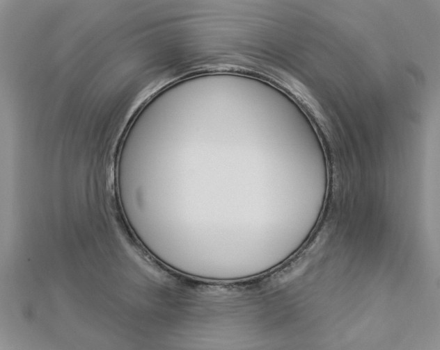 X0000112921234200908241024