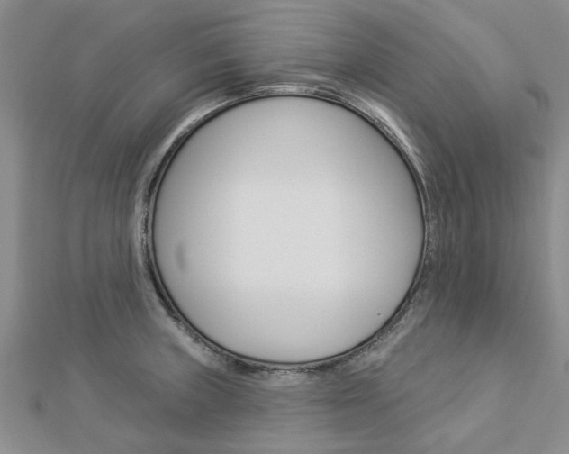 X0000112921235200908241024