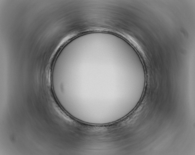 X0000112921238200908241024