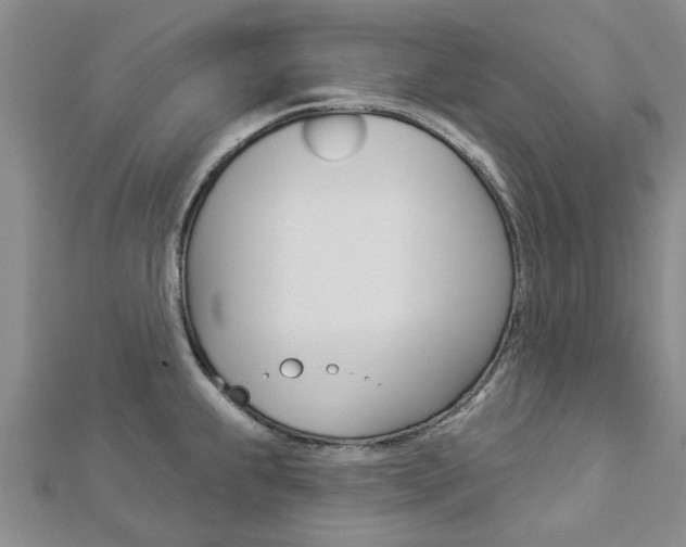 X0000112921239200908241024