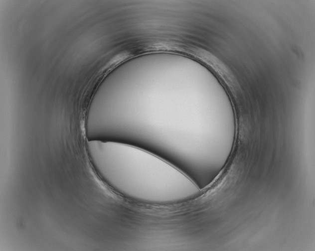 X0000112921241200908241024