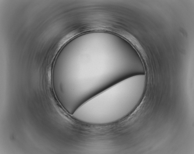 X0000112921242200908241024