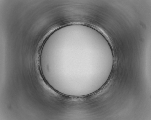 X0000112921243200908241024