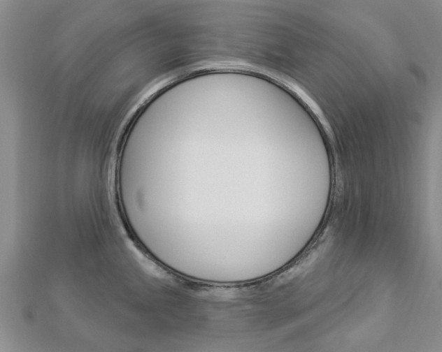 X0000112921245200908241024