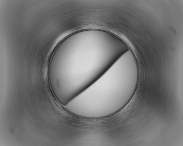 X0000112921246200908241024
