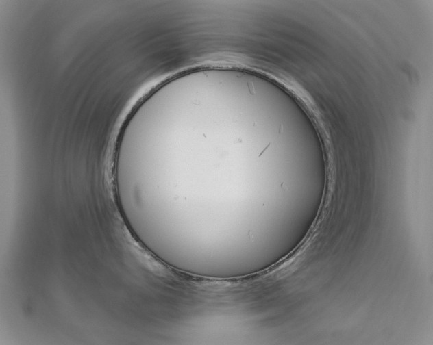 X0000112921248200908241024