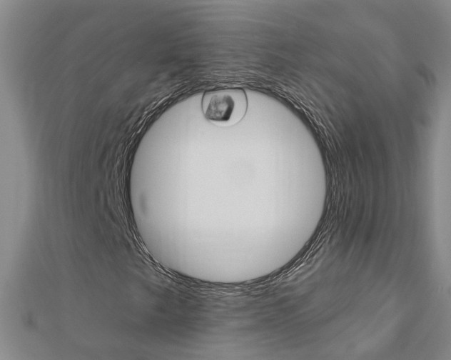 X0000112921249200908241023