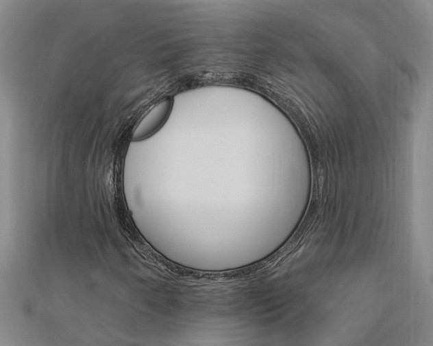 X0000112921250200908241023