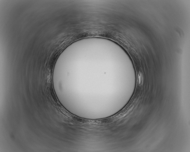 X0000112921251200908241023
