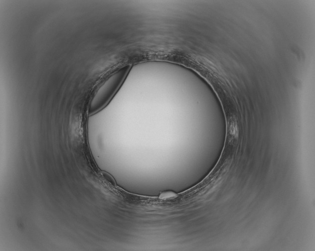 X0000112921252200908241023