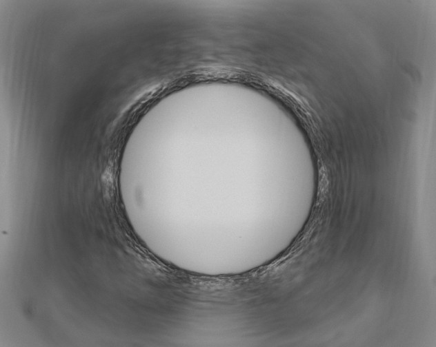 X0000112921254200908241023