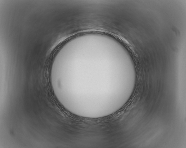 X0000112921255200908241023
