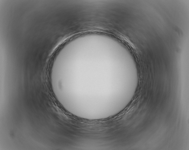 X0000112921256200908241023