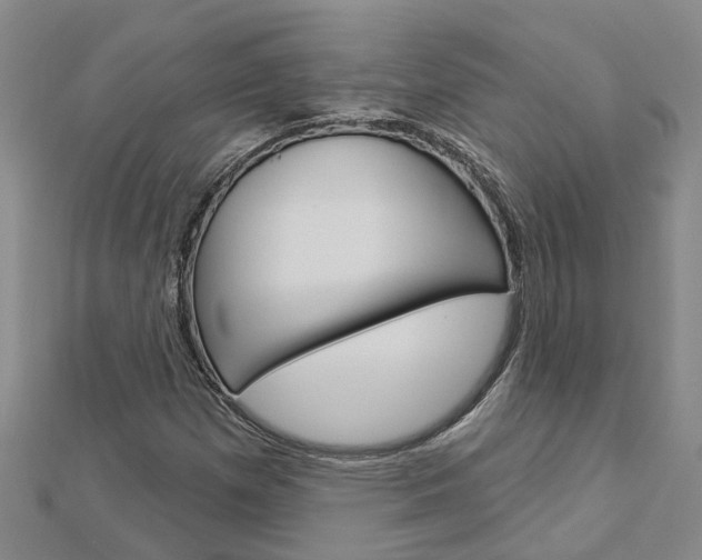 X0000112921257200908241023