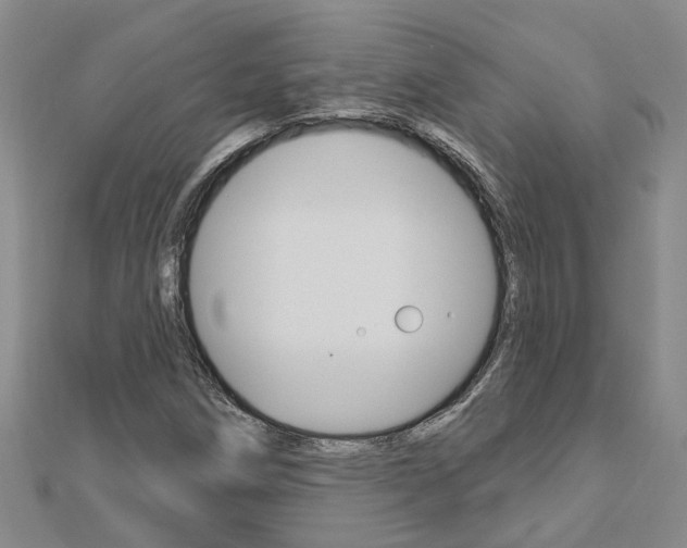 X0000112921258200908241023
