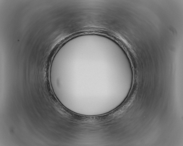 X0000112921259200908241023