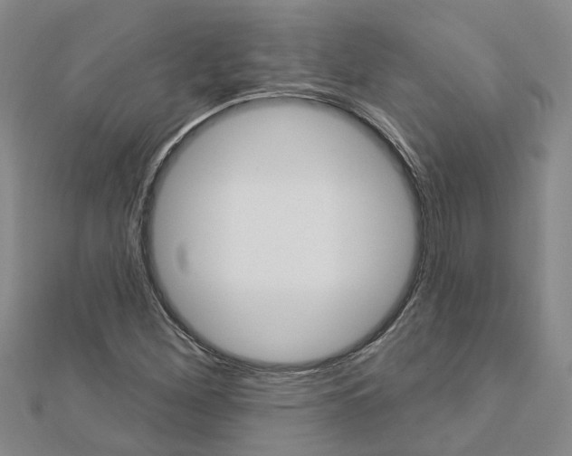 X0000112921260200908241023