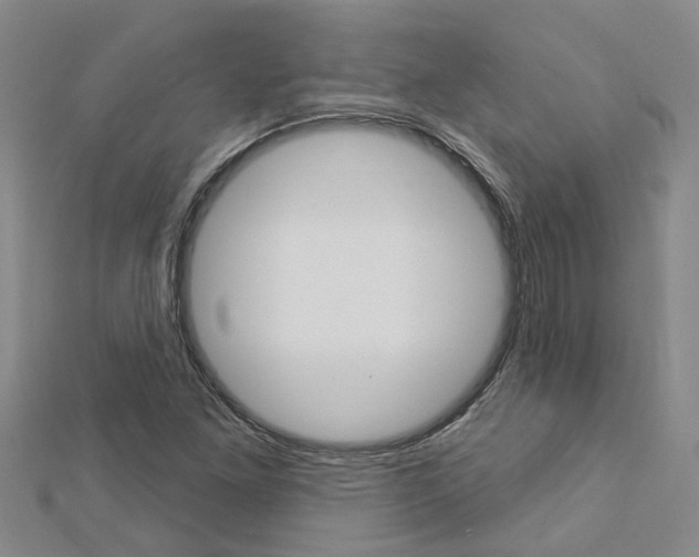 X0000112921261200908241023
