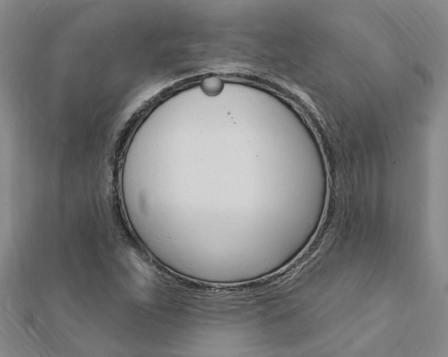 X0000112921263200908241023