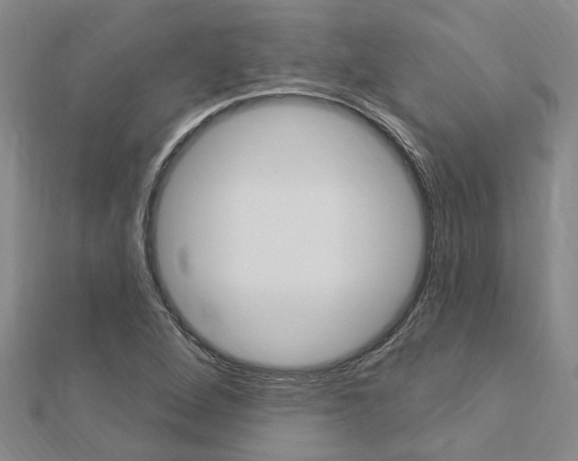 X0000112921264200908241023