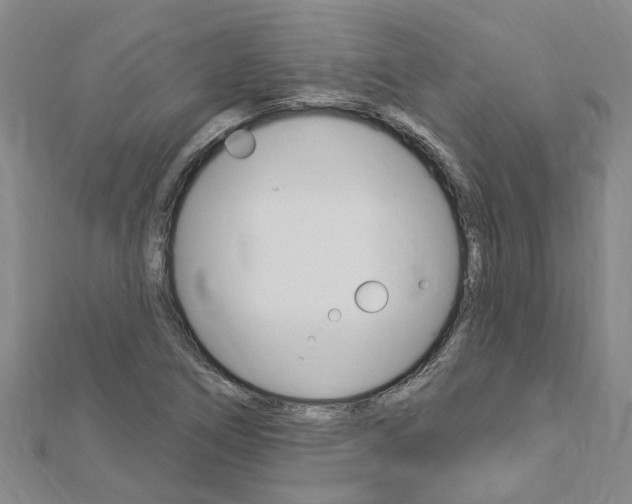 X0000112921266200908241023