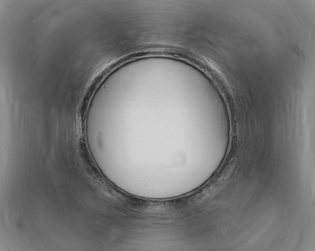 X0000112921267200908241023