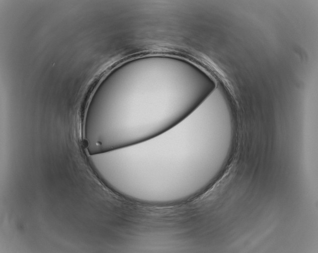 X0000112921269200908241023