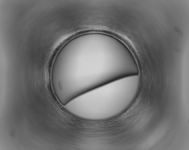 X0000112921271200908241023