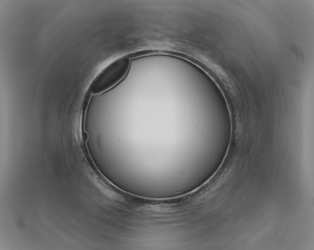 X0000112921272200908241023