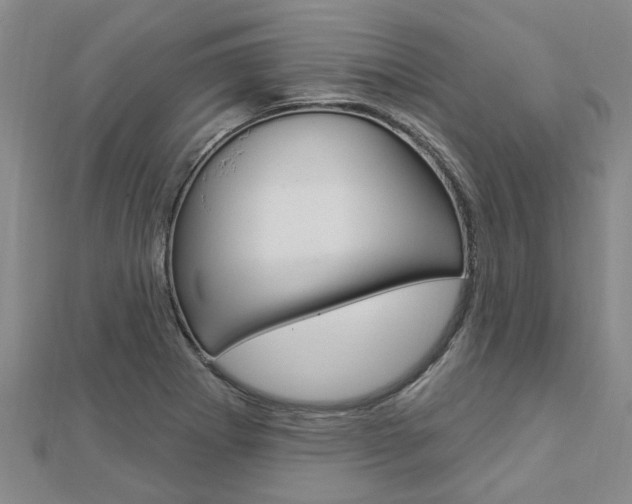 X0000112921273200908241023