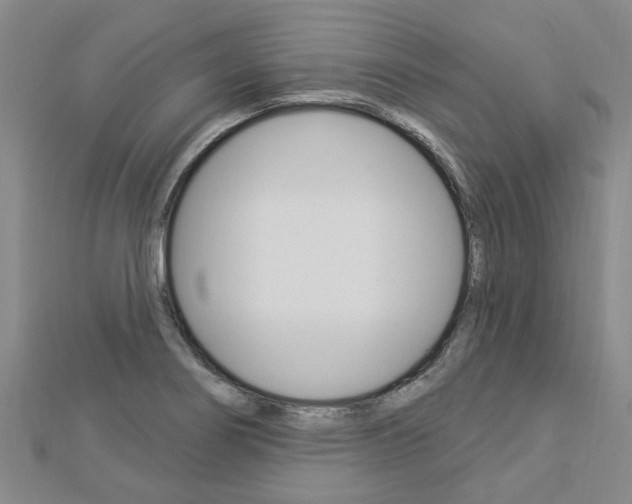 X0000112921274200908241023