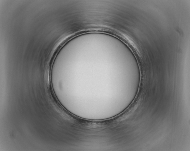 X0000112921275200908241023