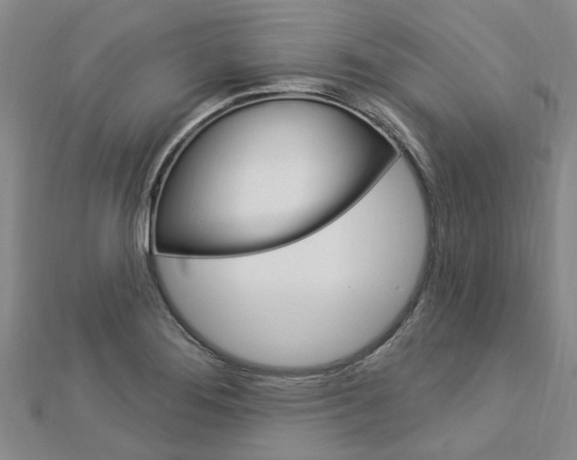 X0000112921276200908241023