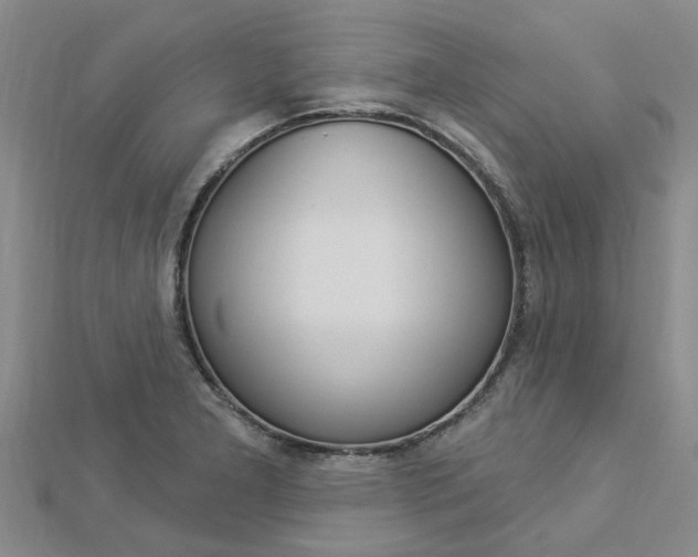 X0000112921277200908241023