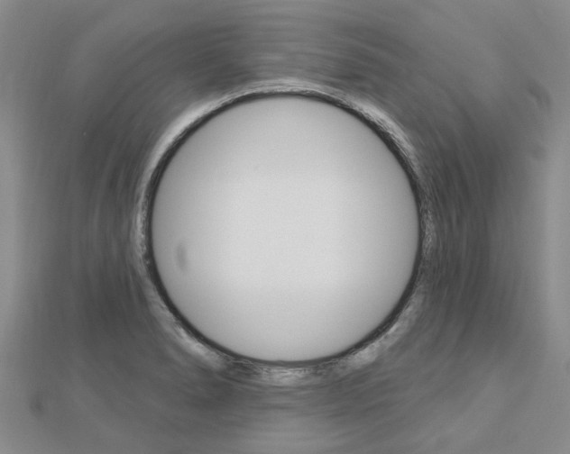 X0000112921278200908241023