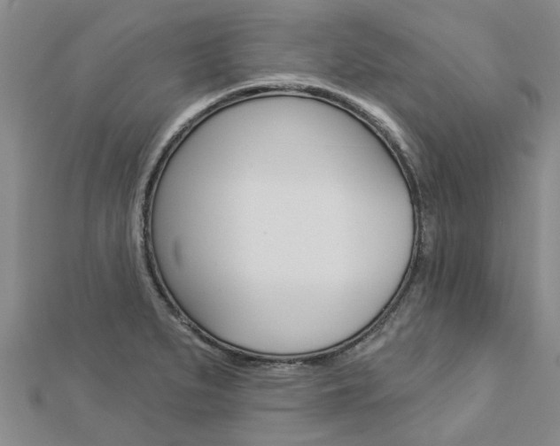 X0000112921279200908241023
