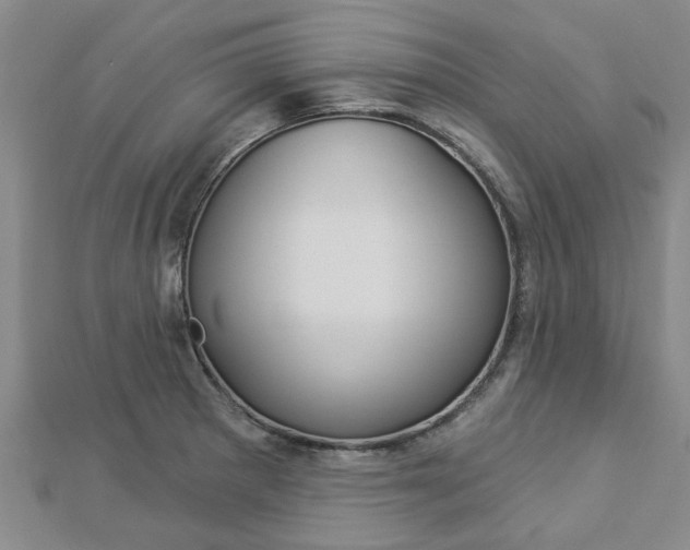 X0000112921281200908241023