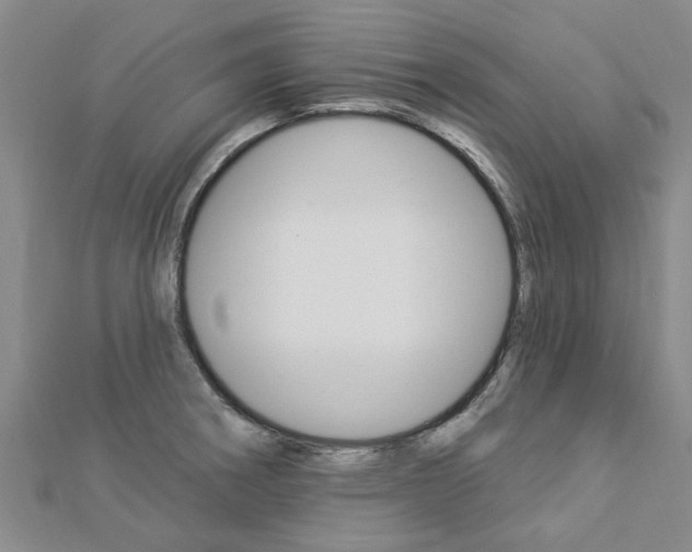 X0000112921282200908241023